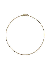 Golden Collar Necklace