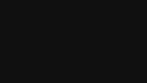 Stainless Clad Stock Pot in 6 QT