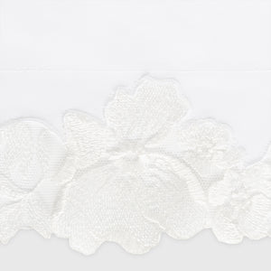 Virginia Collection