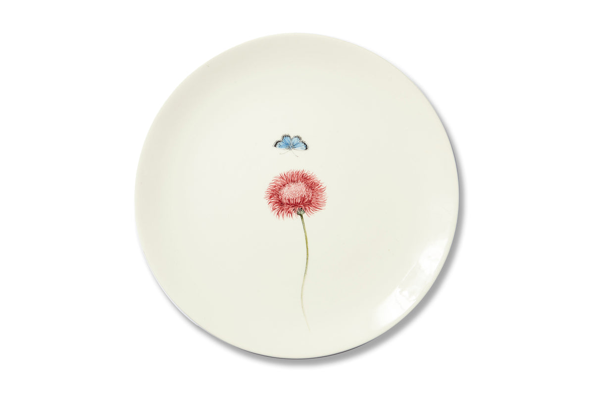 Bloom Silybum Marianum Plate