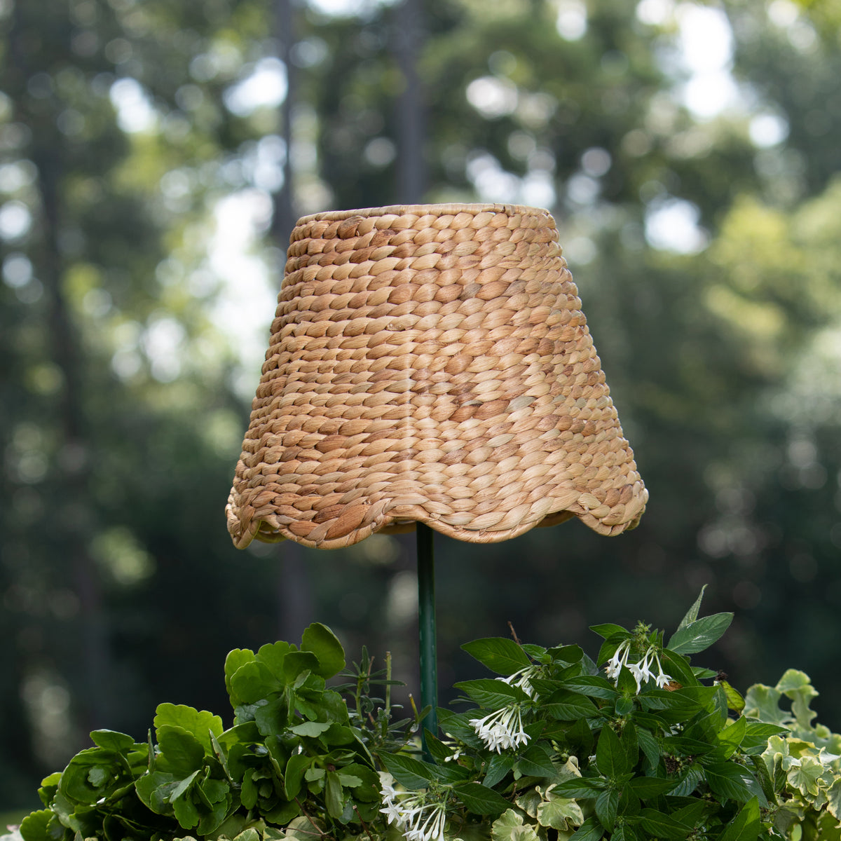 Scalloped Lampshade in Water Hyacinth