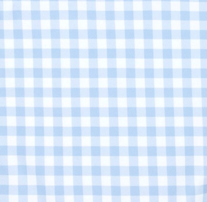 Boy's Oasis Blue Gingham Boardie