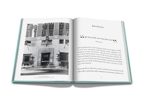 assouline on over the moon windows at tiffany and co