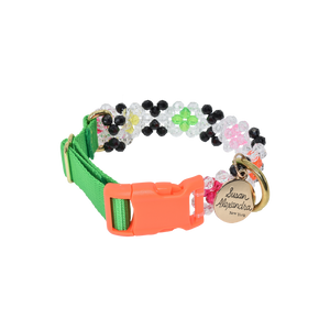 Seltzer Dog Collar