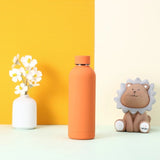 Bouteille inox 24