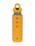 Gourde en verre RevoMax